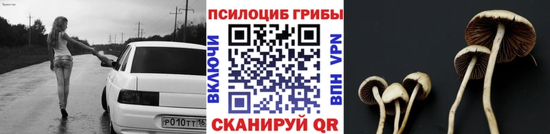 Купить  Кохма  Галлюциногенные грибы мицелий 